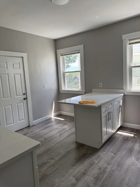 7 Woodward Park St, Roxbury