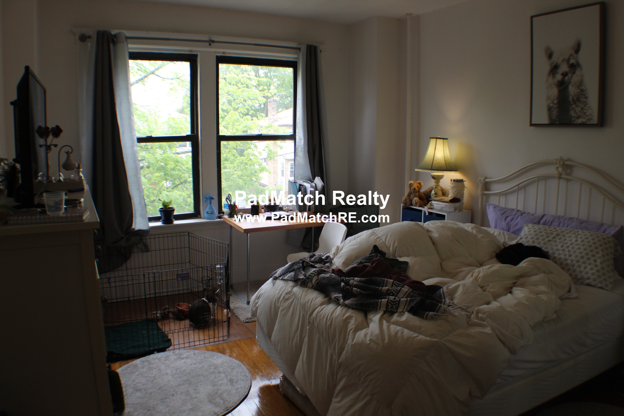 17 Cummings Rd, Brighton