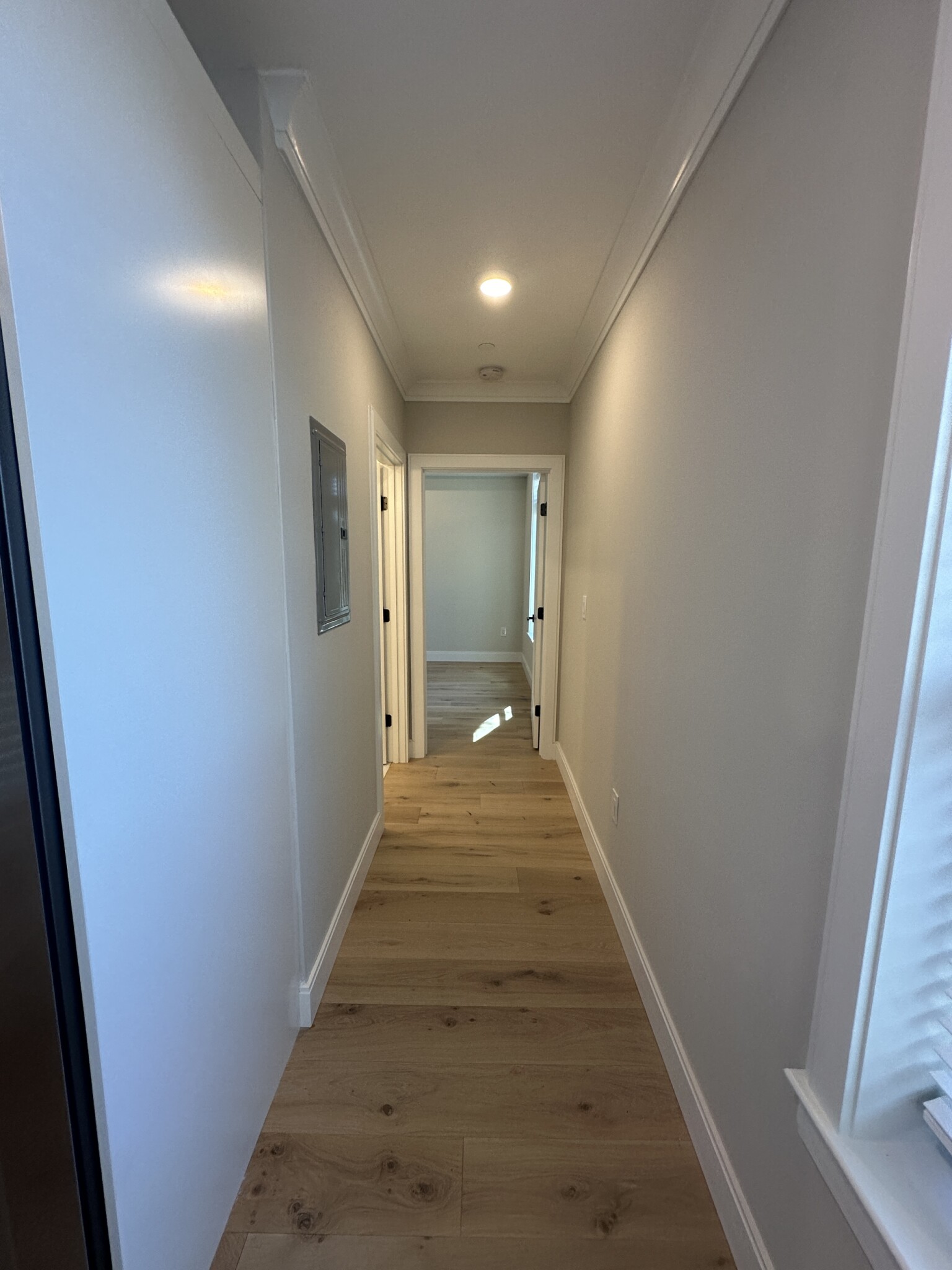 161 Everett St, Brighton