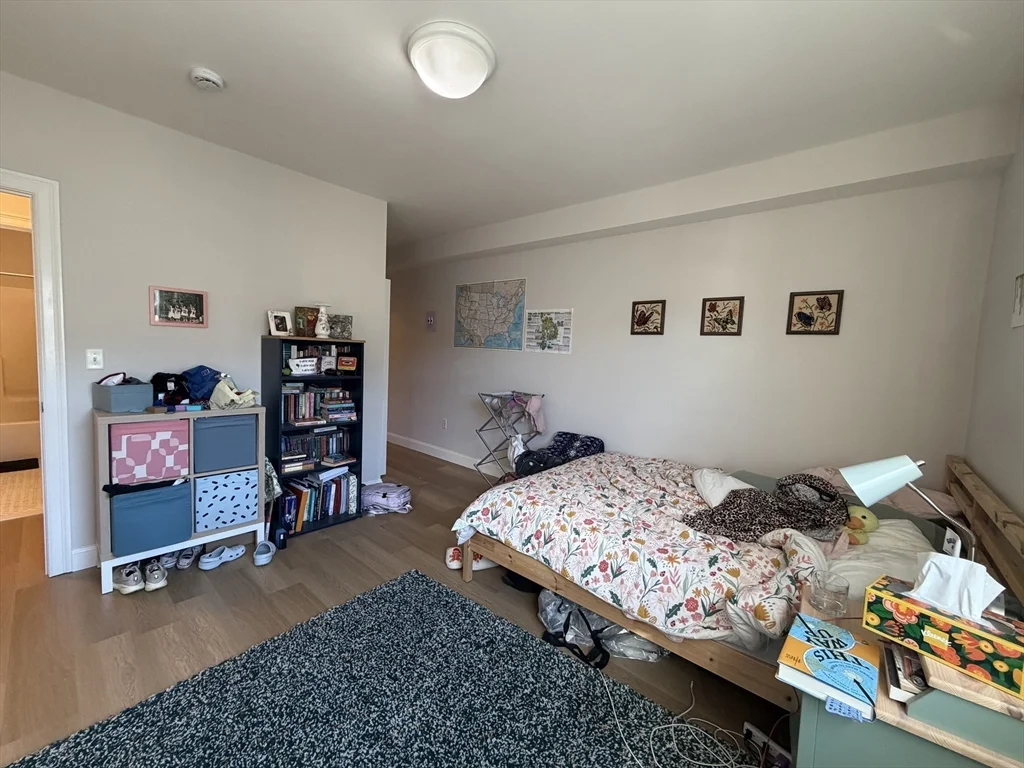 43 Pitman St, Spring Hill