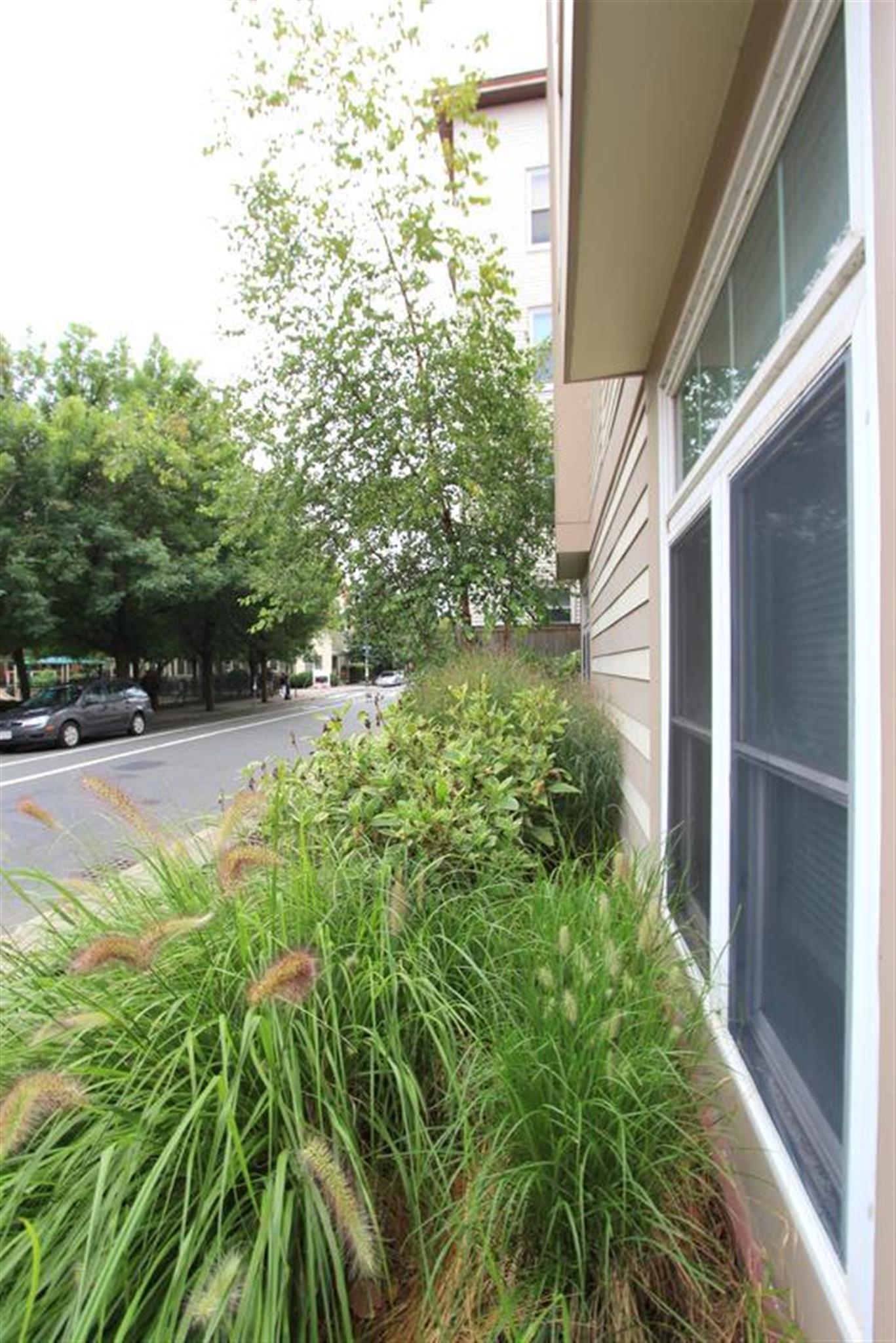 Studio bed, 1 bath apartment for rent at 21 Brookline St Unit 103, Central Square — photo 15 of 15