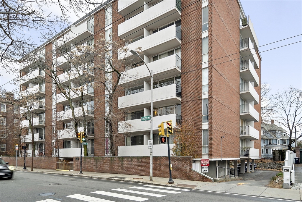 29 Concord Ave, Neighborhood Nine