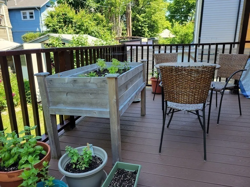 153 Chilton St, Neighborhood Nine