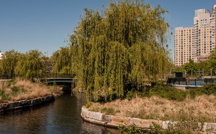 2 Leighton St, East Cambridge