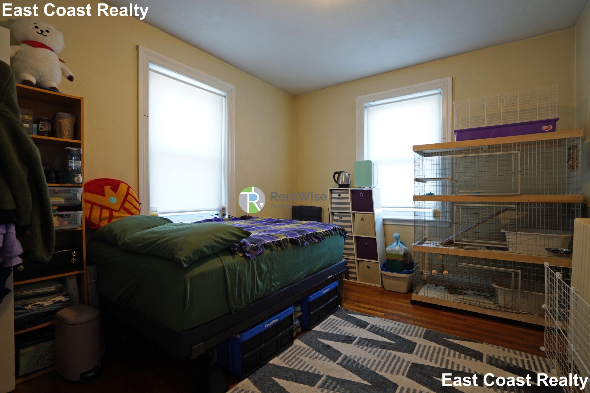 41 Chestnut Hill Ave, Brighton