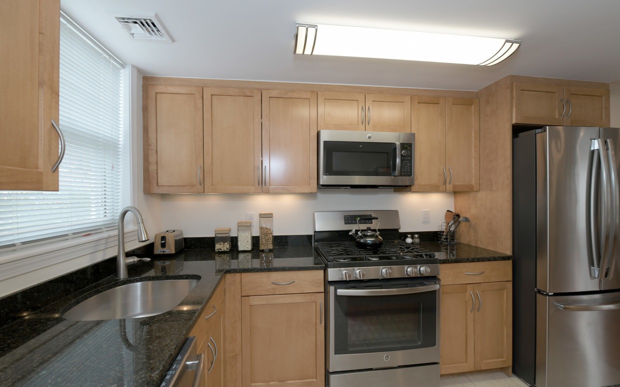 1 bed, 1 bath apartment for rent at 10 Gerry Rd Unit 1, Chestnut Hill — photo 4 of 10