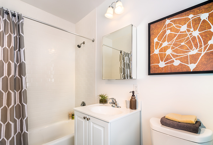 1 bed, 1 bath apartment for rent at 160 Independence Dr Unit 1, Chestnut Hill — photo 9 of 10