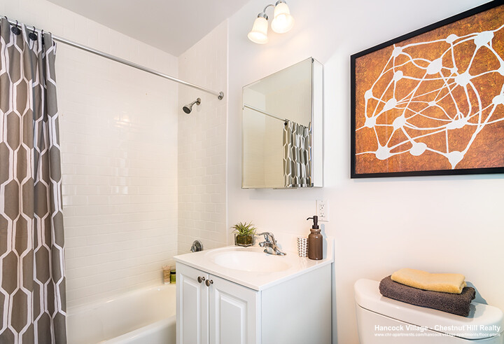 2 bed, 1.5 bath apartment for rent at 39 Sherman Rd Unit 4, Chestnut Hill — photo 3 of 6
