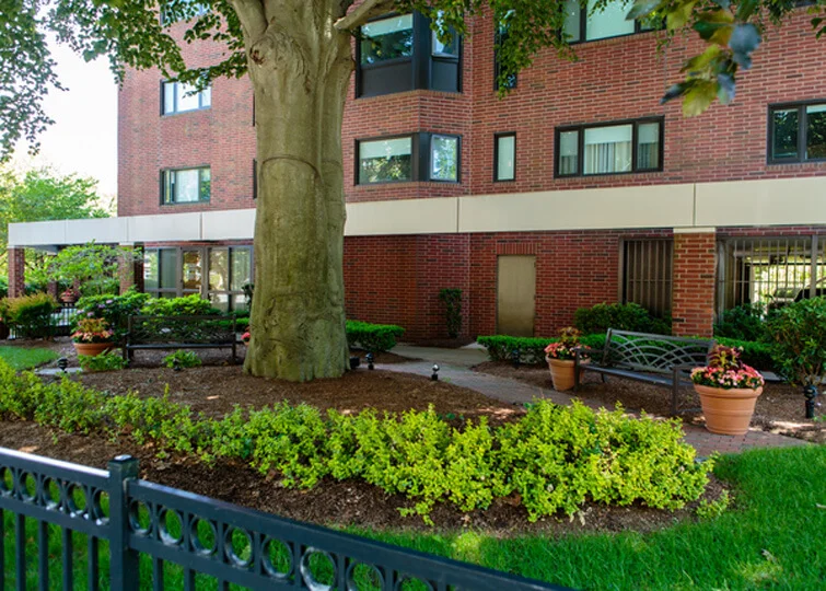 1443 Beacon St, Coolidge Corner