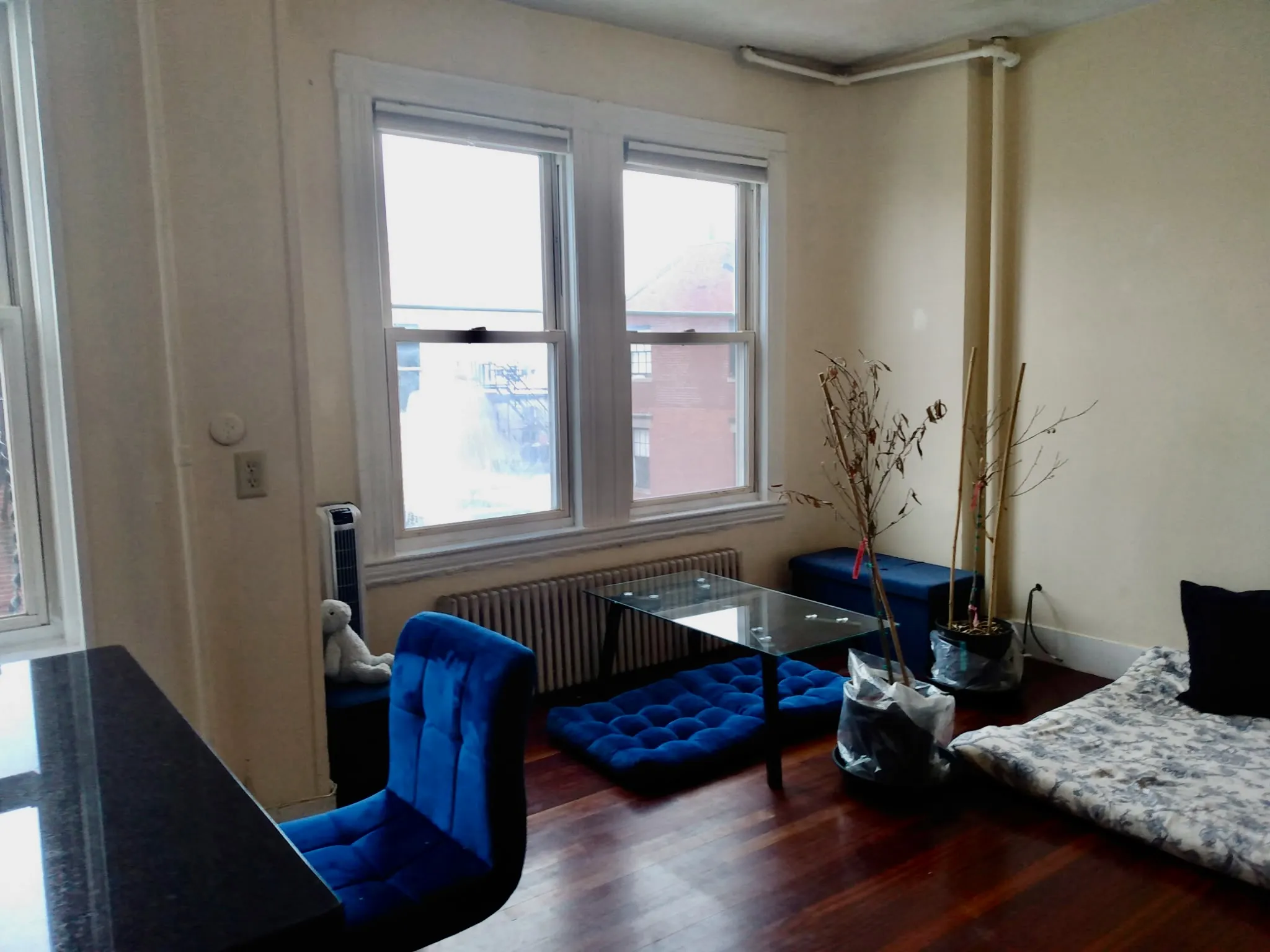 108 Myrtle St, Beacon Hill