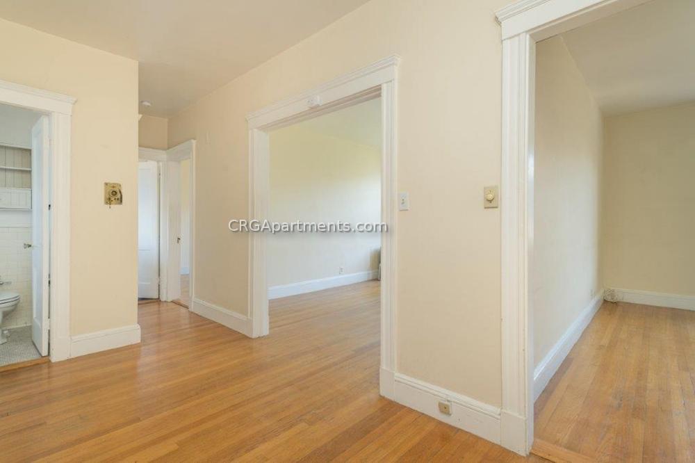 19A Forest St, Baldwin