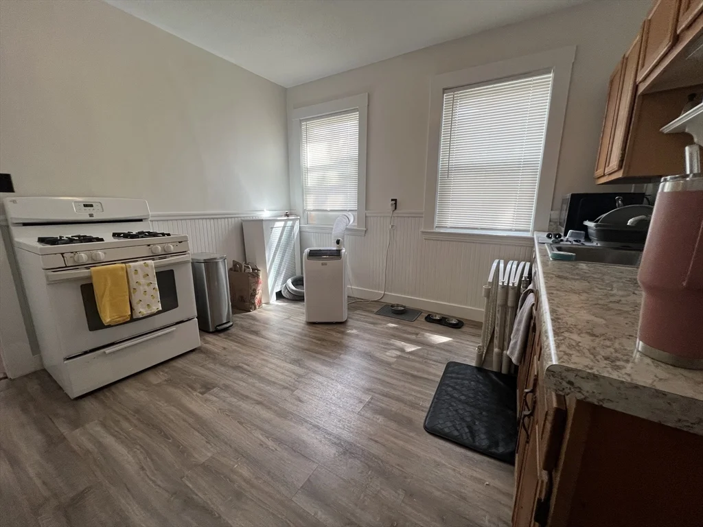 229 Belmont St, Belmont