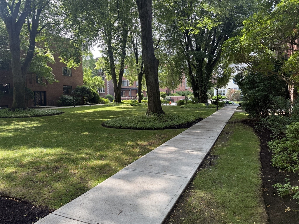 102 Sewall Ave, Coolidge Corner