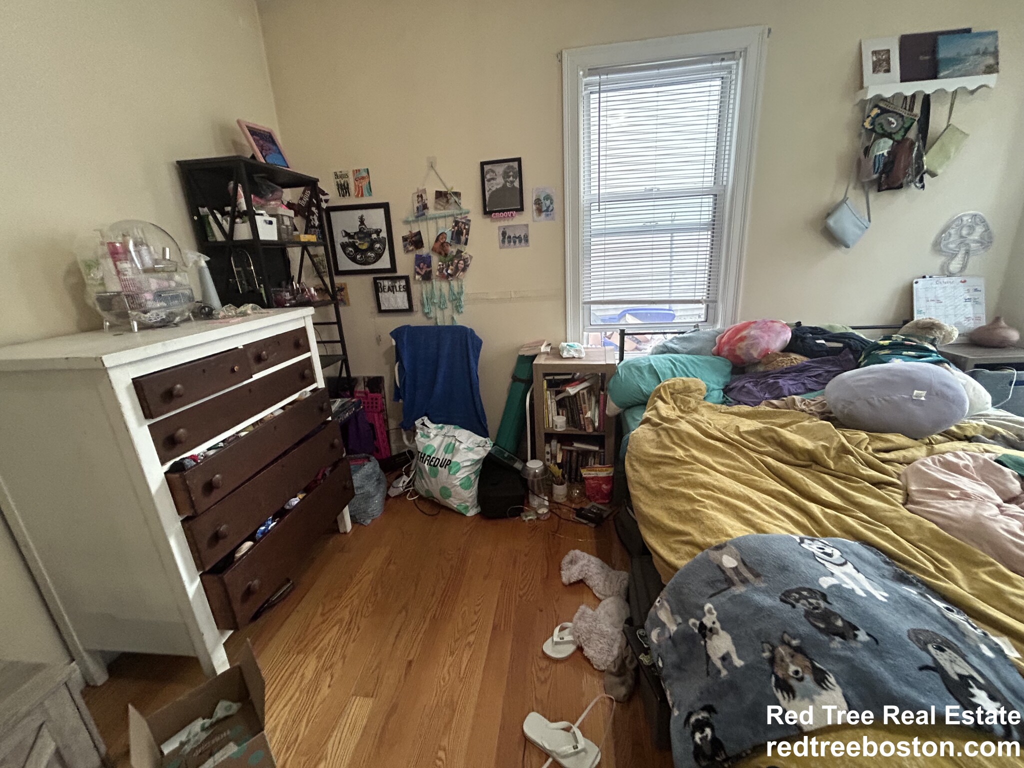 20 Armstrong St, Jamaica Plain