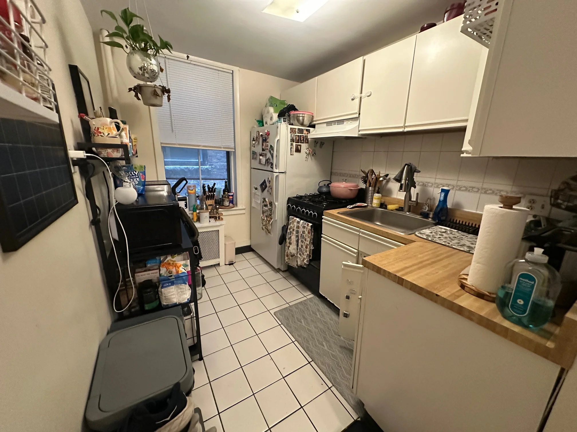 11 Irving St, Beacon Hill