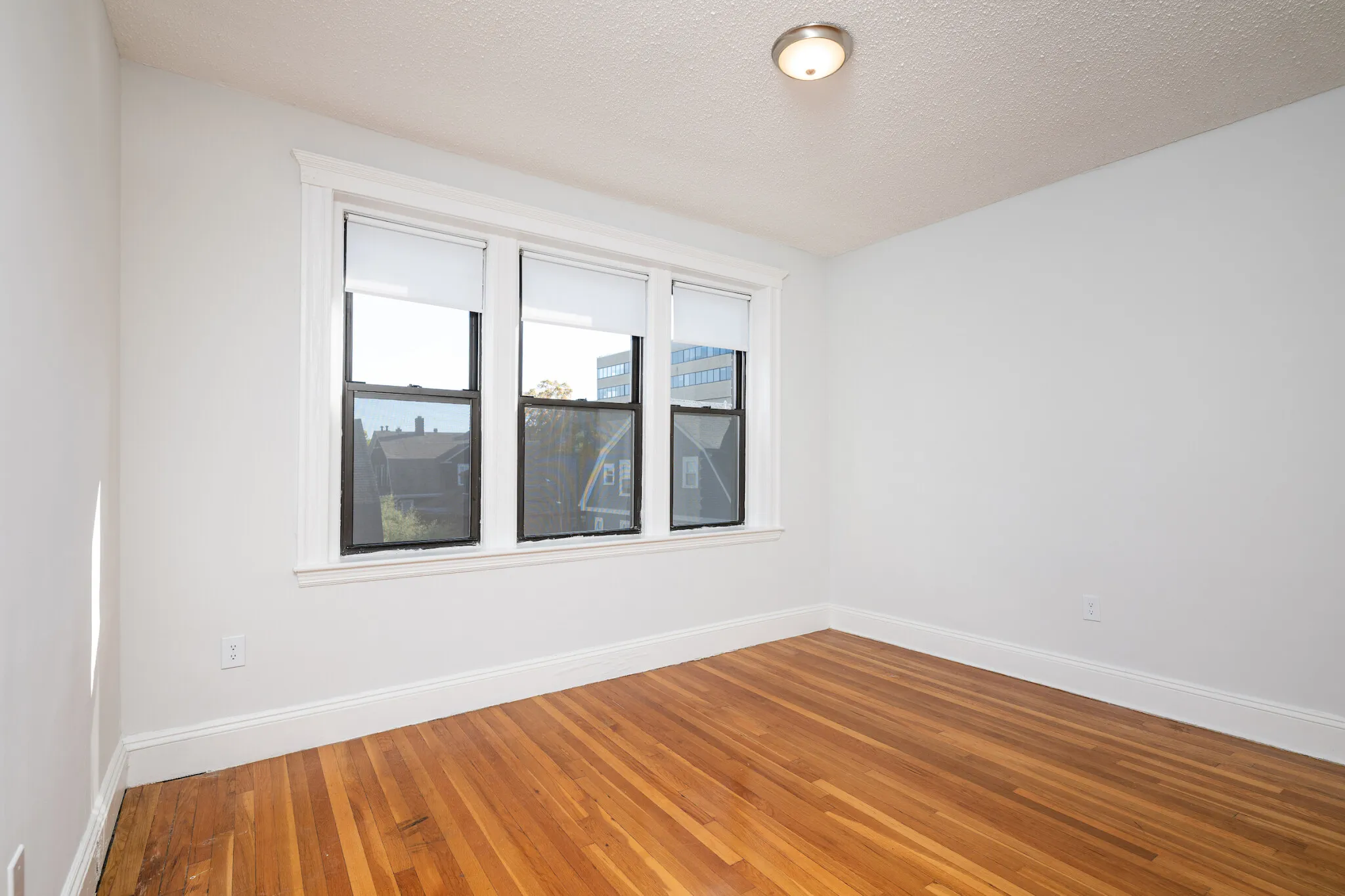 12 Elko St, Brighton