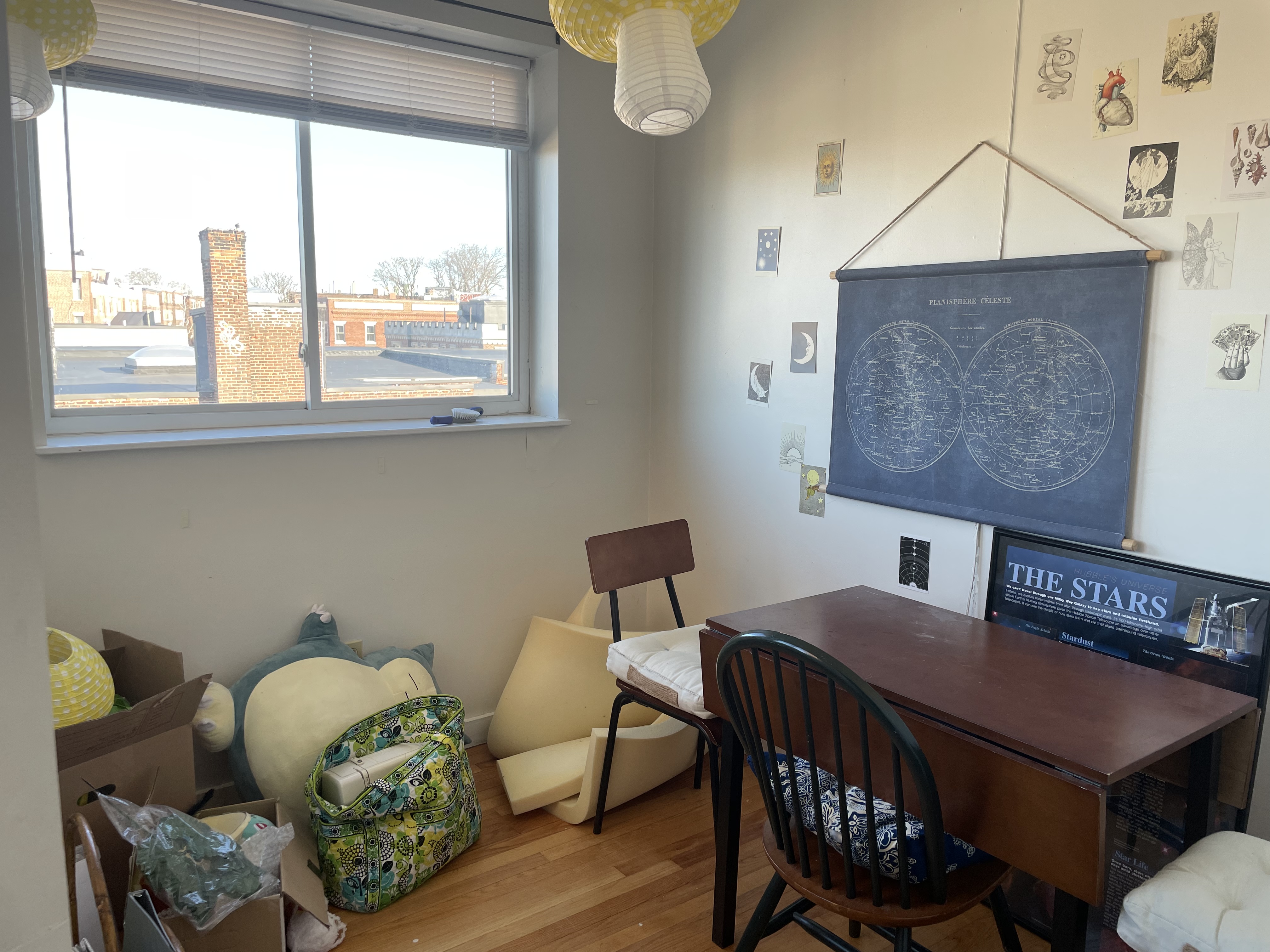 2 bed, 1 bath apartment for rent at 1255 Commonwealth Ave Unit 8, Brighton — photo 3 of 8