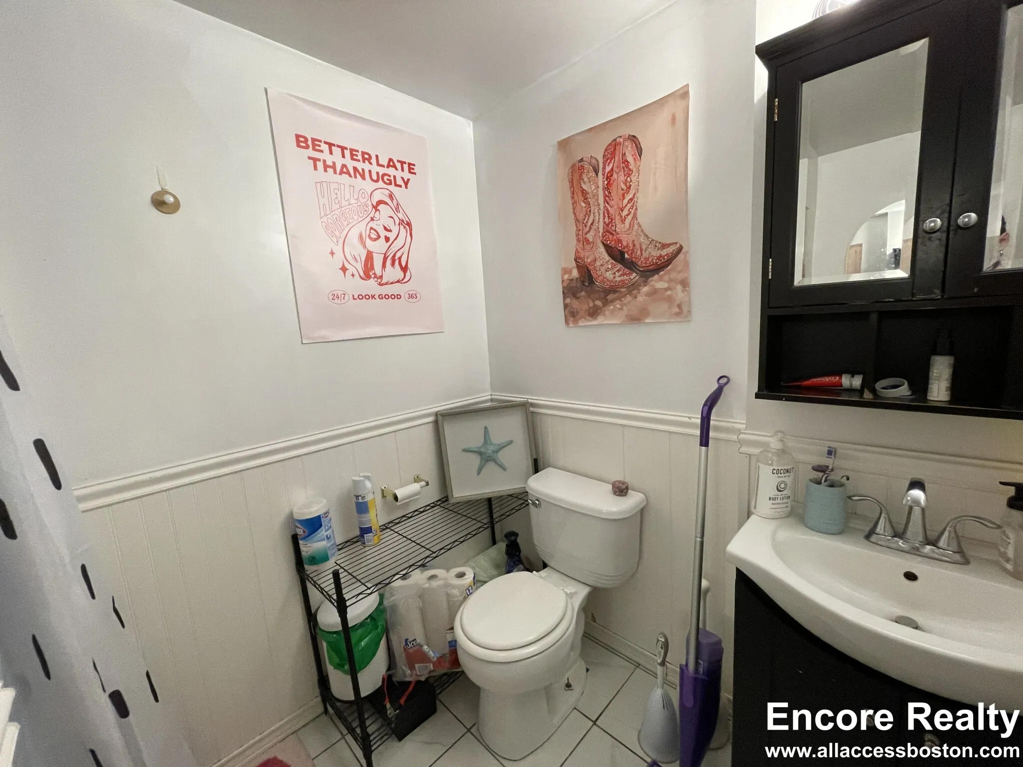 62 Egmont St, North Brookline