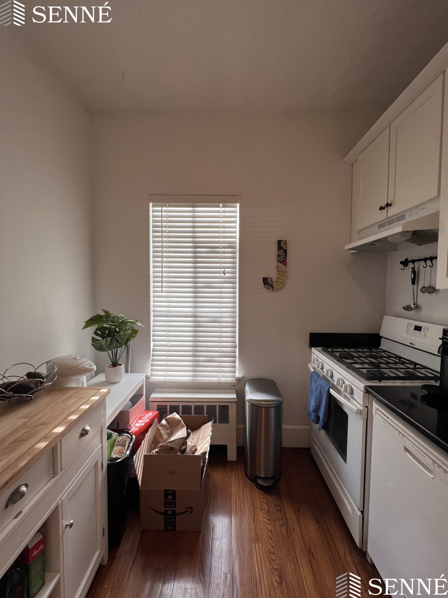 21 Ellery St, Mid-Cambridge