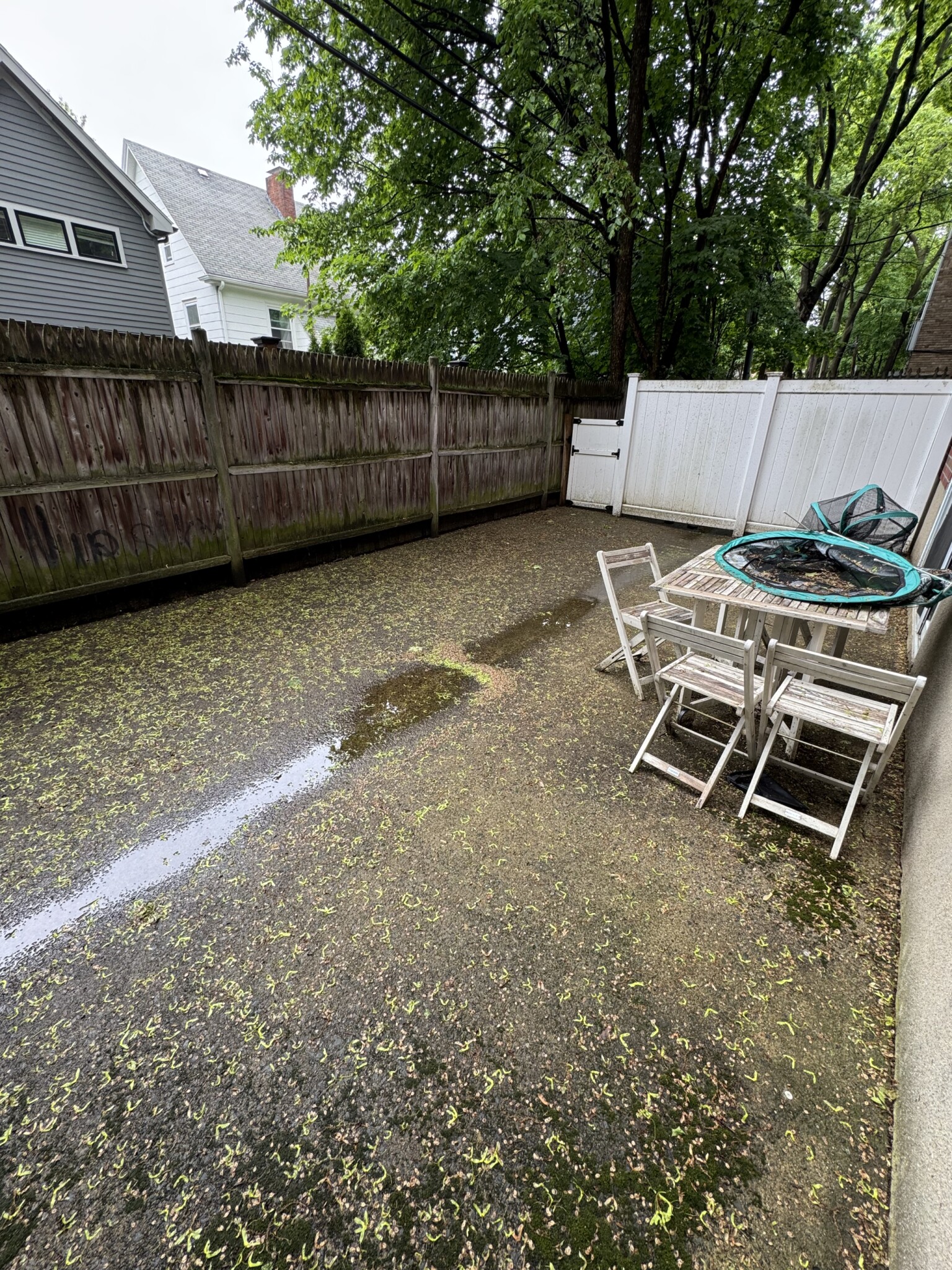 110 Babcock St, Coolidge Corner