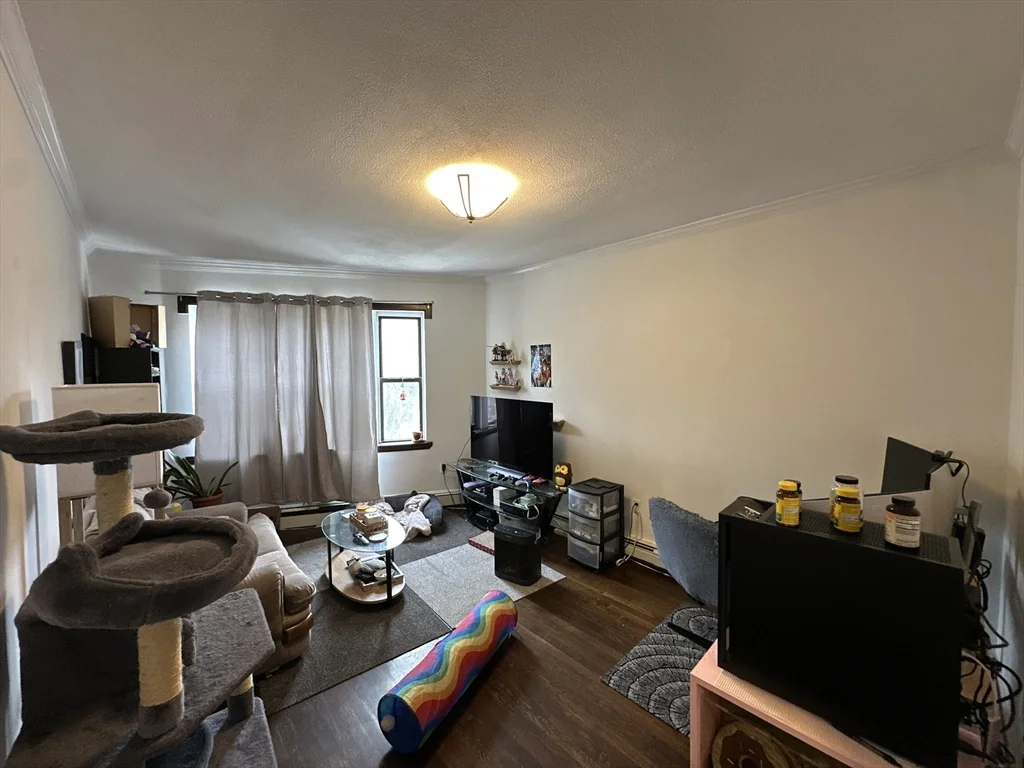 435 Walnut Ave, Roxbury