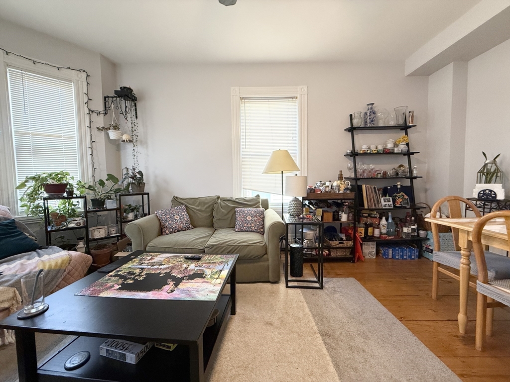 252 Elm St, Wellington-Harrington