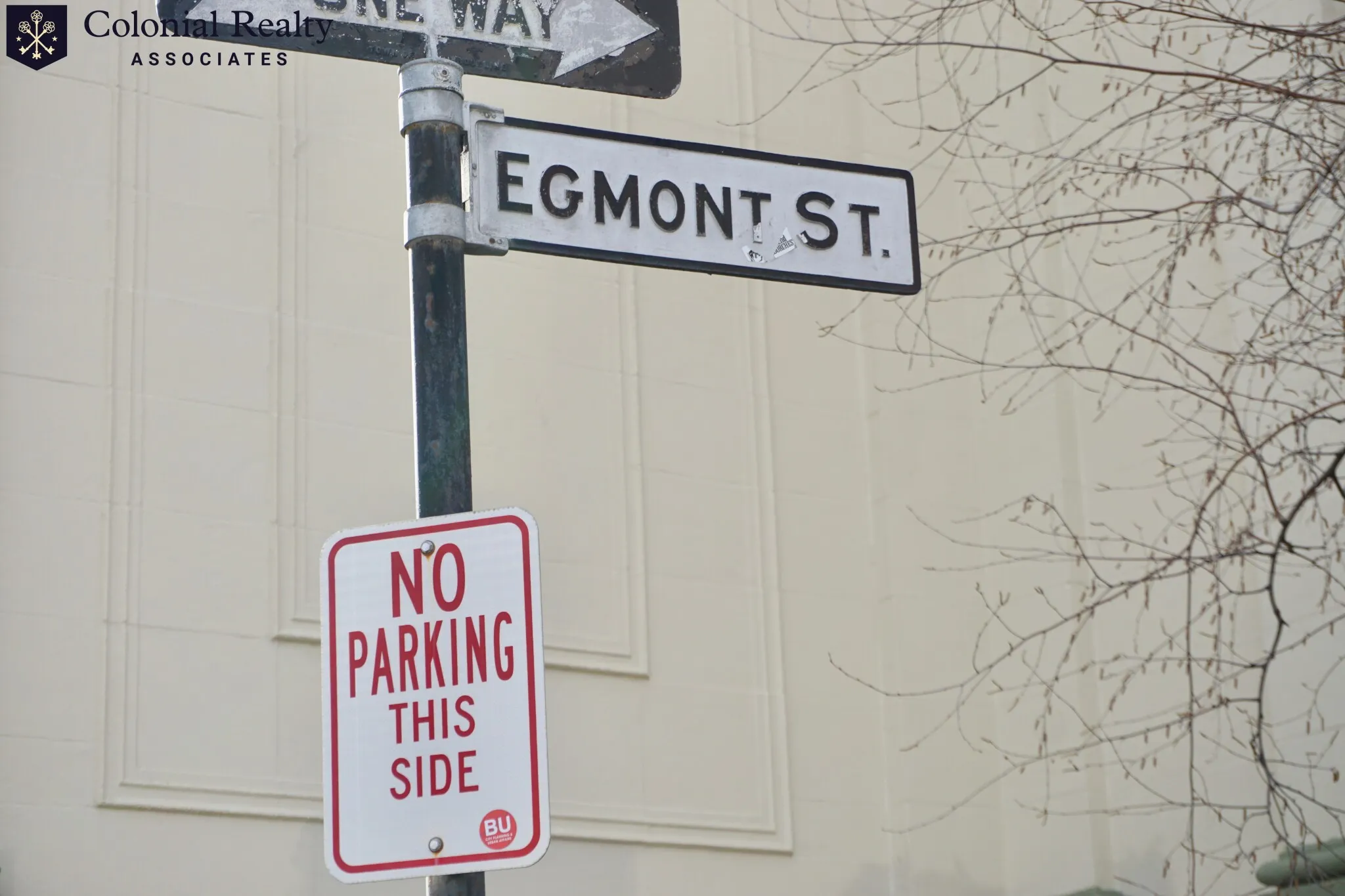 72 Egmont St, North Brookline