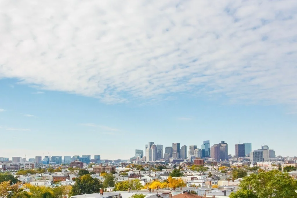 249 Lexington St, Eagle Hill