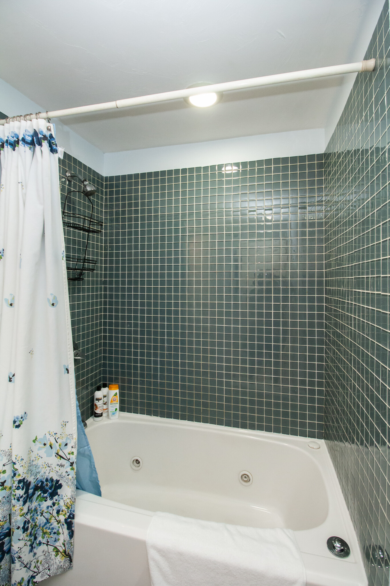 22 Hancock St, Beacon Hill