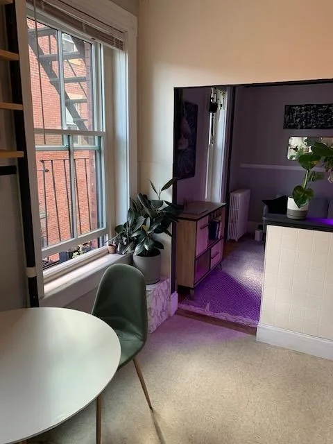 8 Fayette St, Back Bay