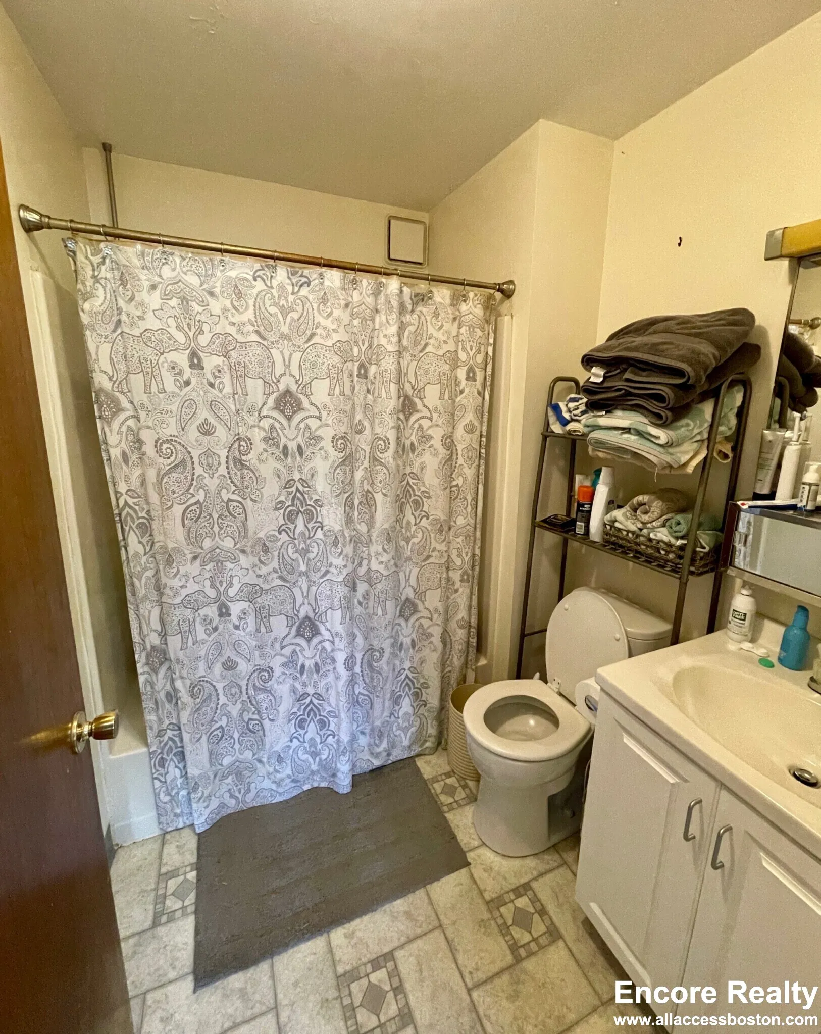 15 Stearns Rd, Coolidge Corner