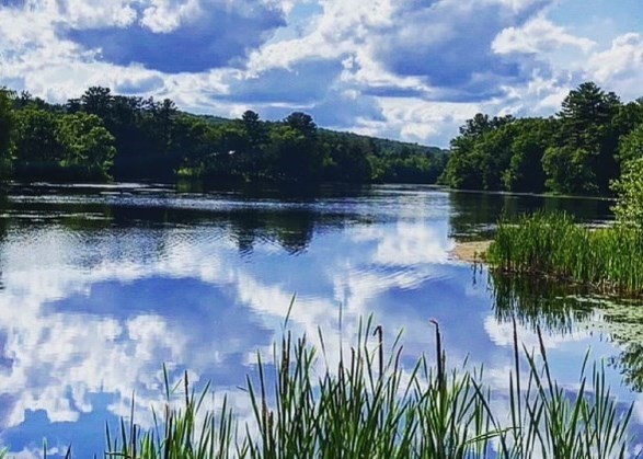 80 Dutcher St, Hopedale