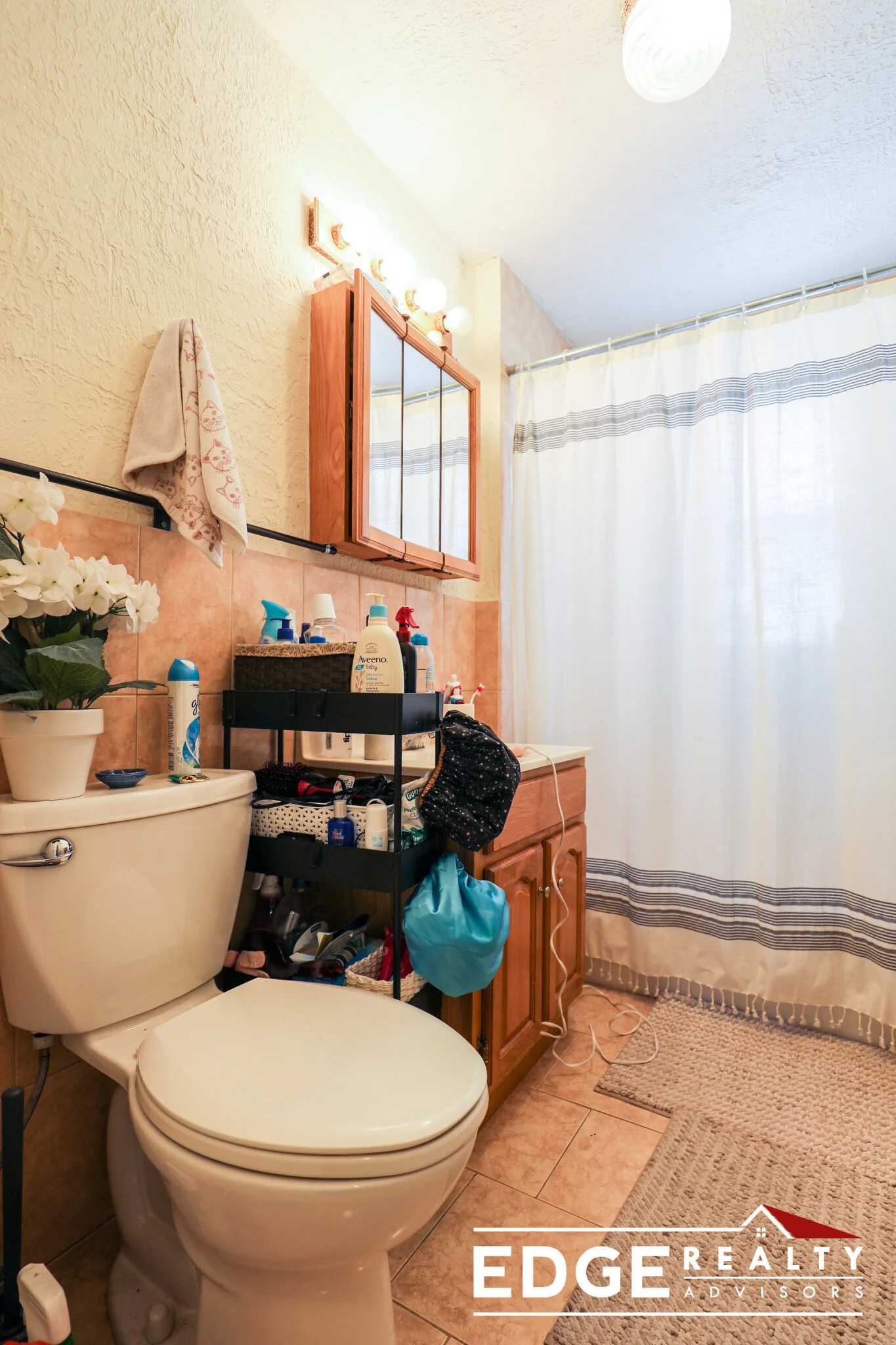 7 Greylock Rd, Brighton