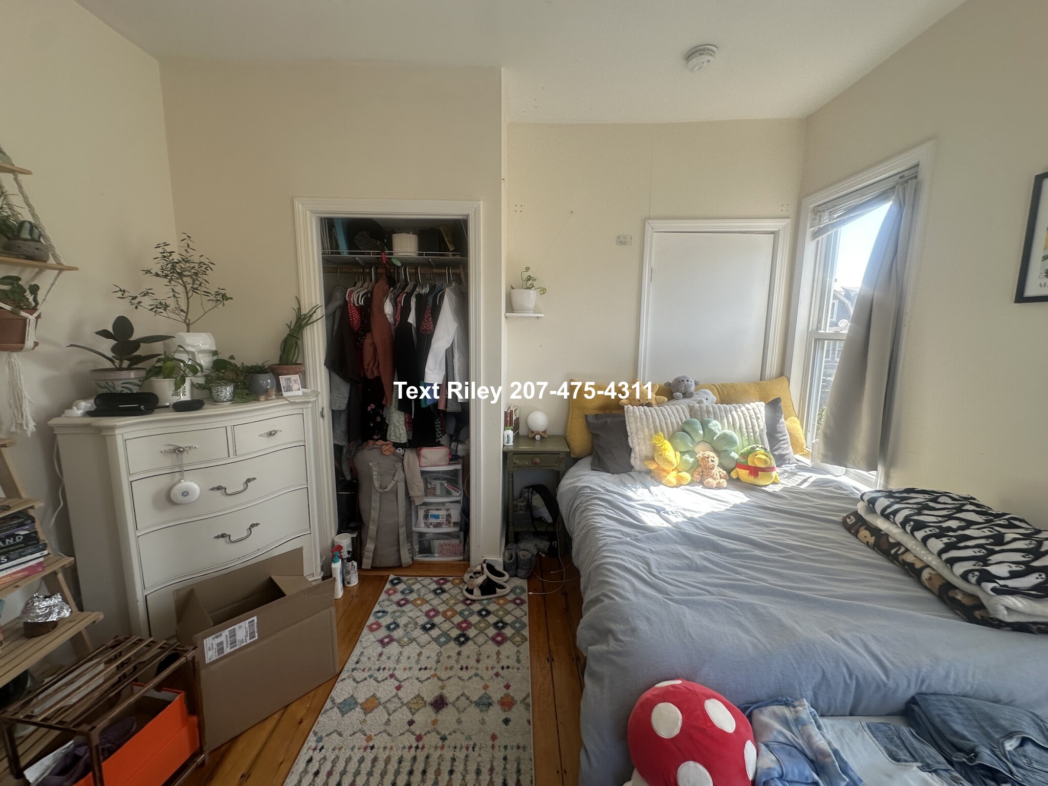 38 Bond St, Winter Hill