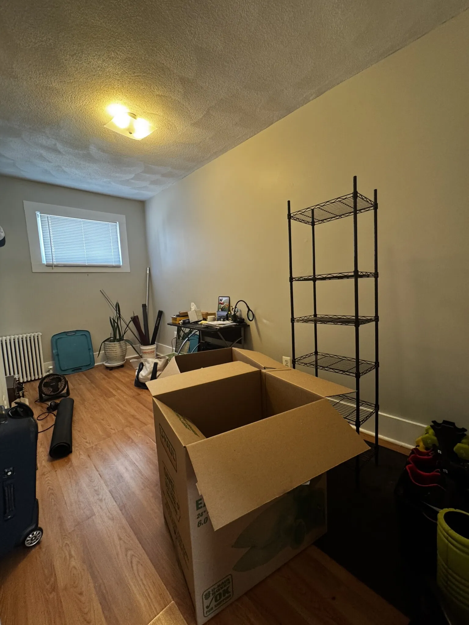 15 Princeton St, South Medford