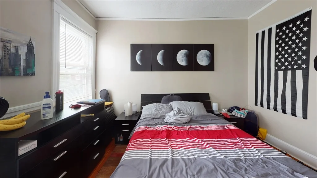 12 Estrella, Jamaica Plain