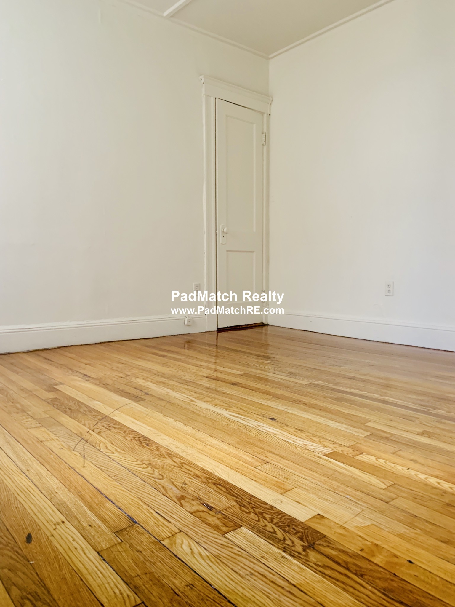 1175 Boylston St, Fenway