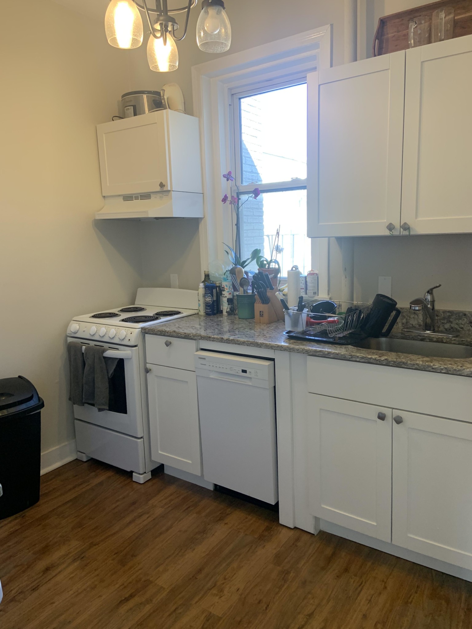 1189 Commonwealth Ave, Allston