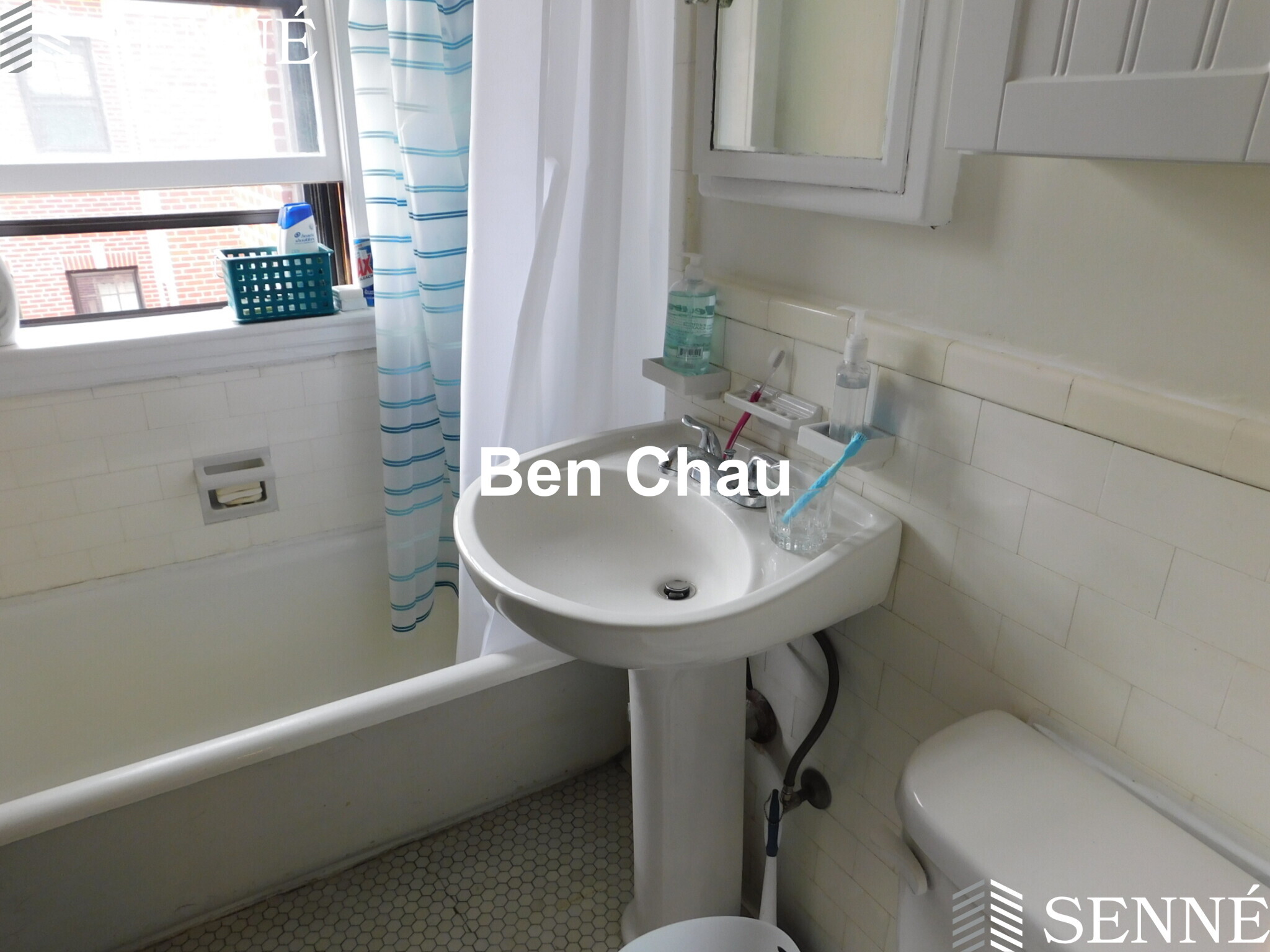 36 Linnaean St, Neighborhood Nine