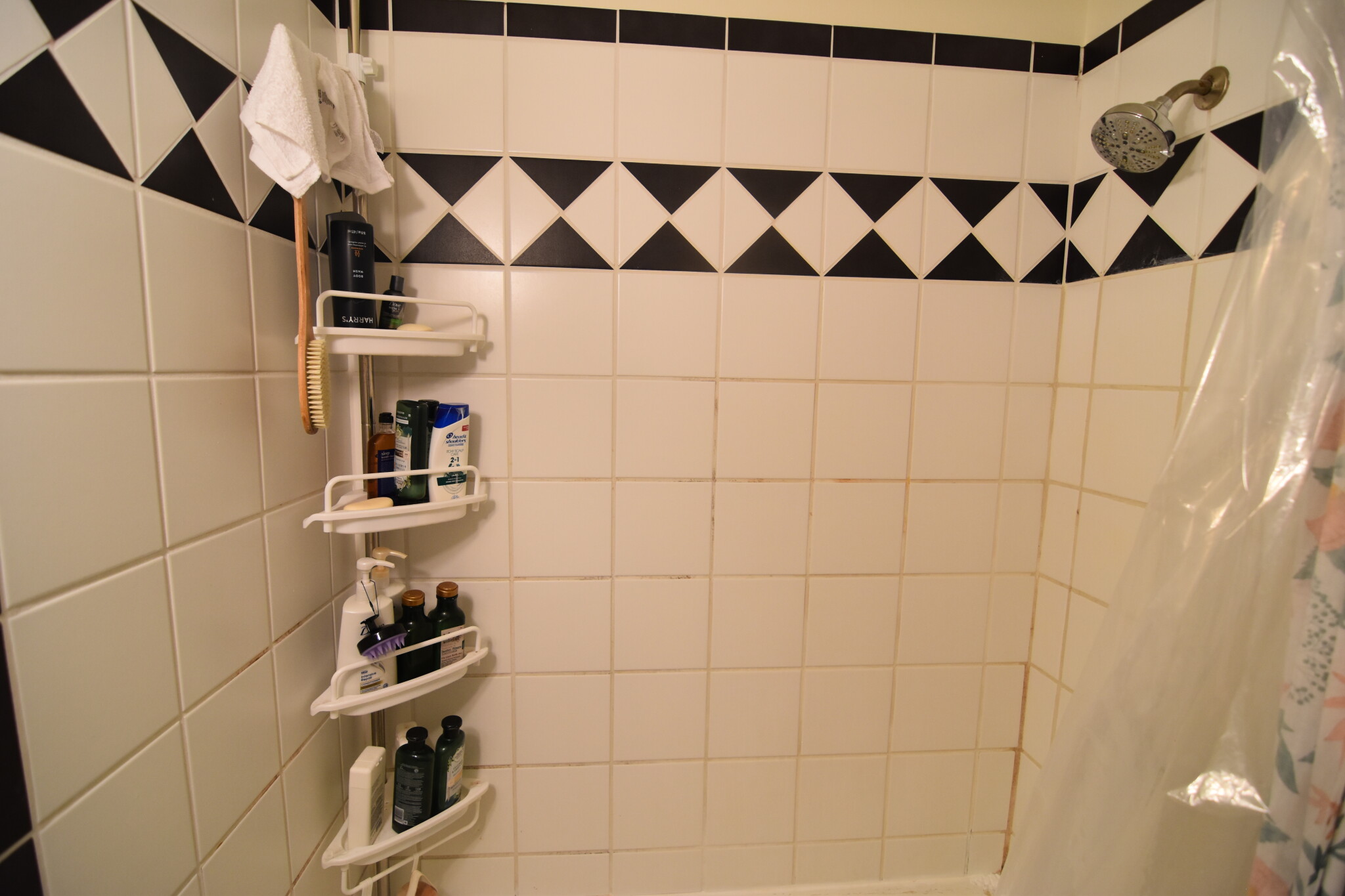 19 Craig Pl, Coolidge Corner