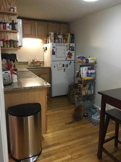 15 Euston Rd, Brighton