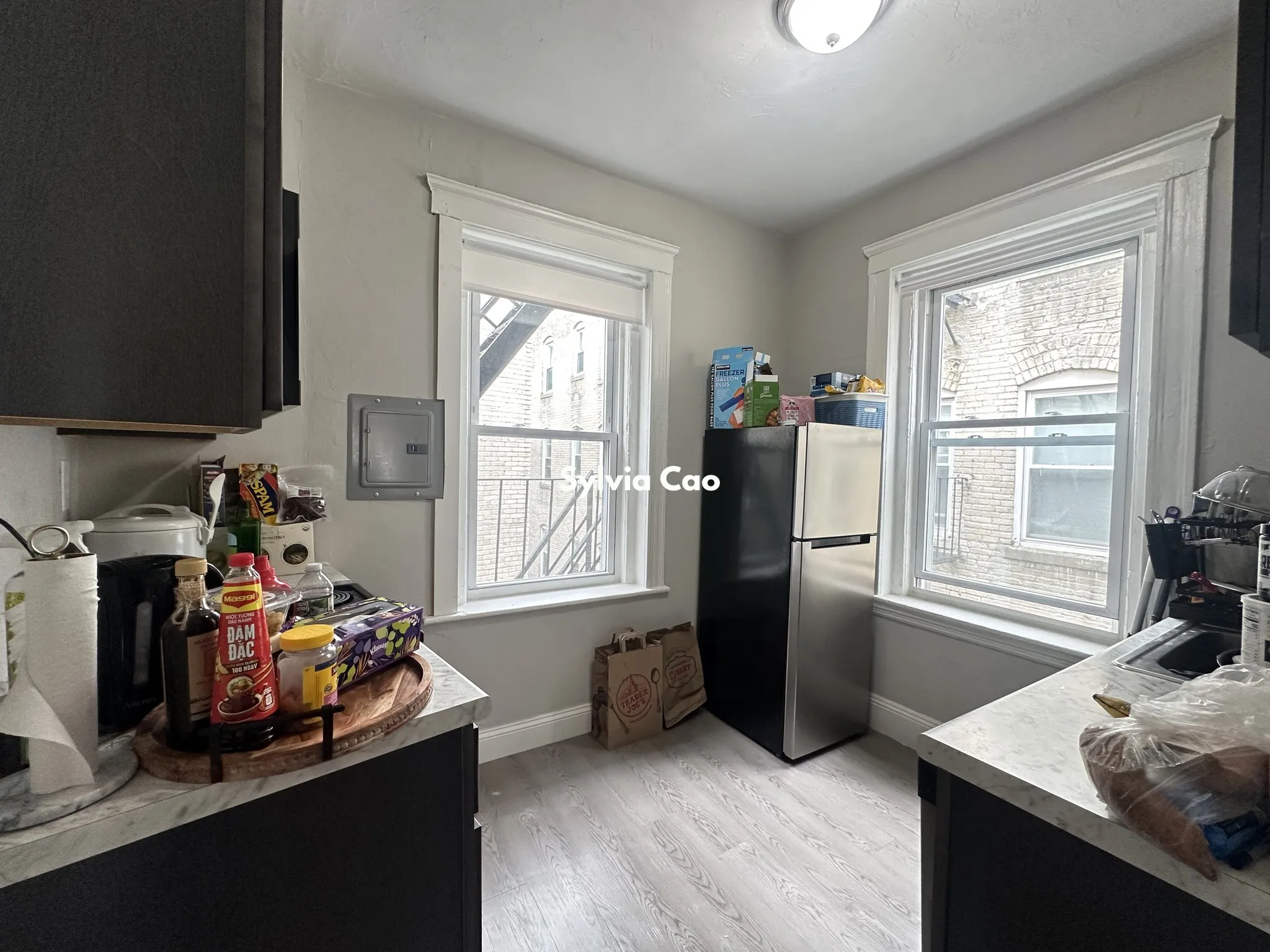 165 Kelton St, Brighton