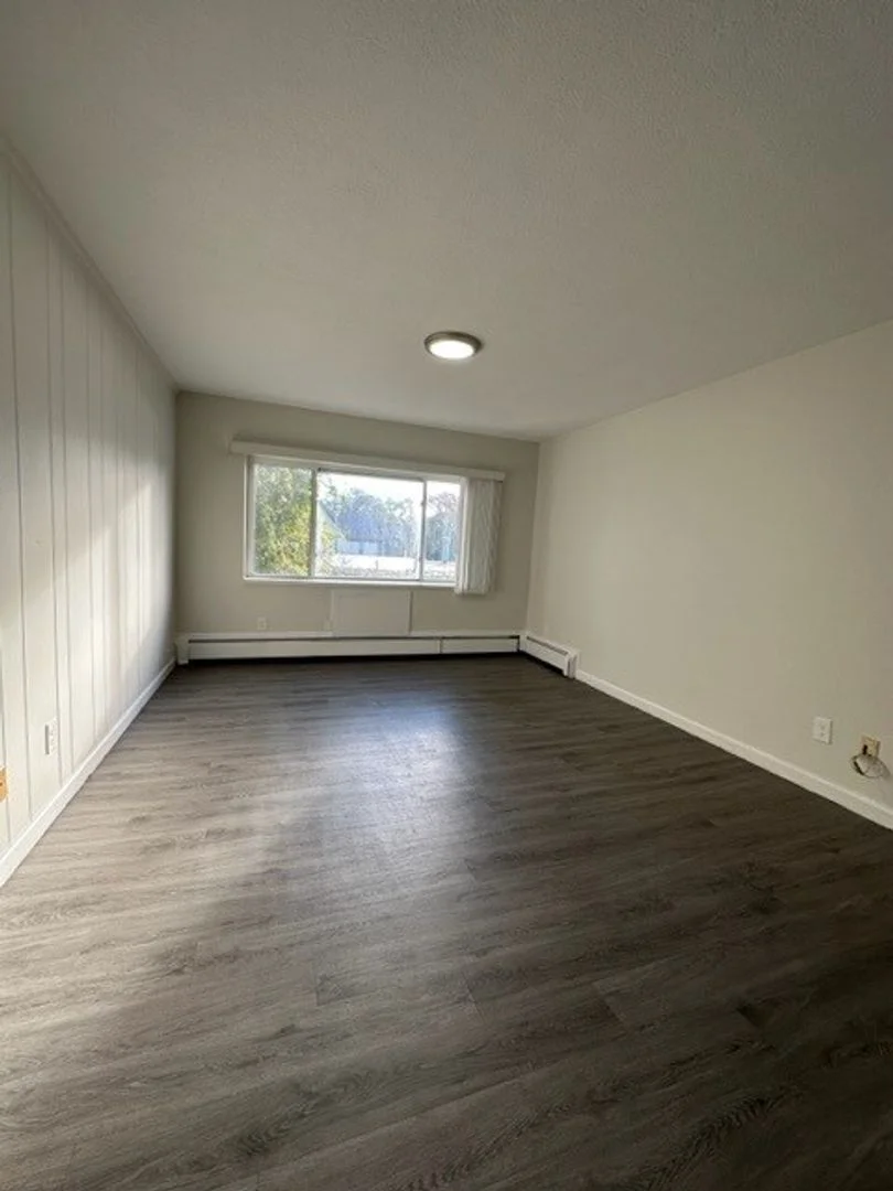 731 River St, Hyde Park