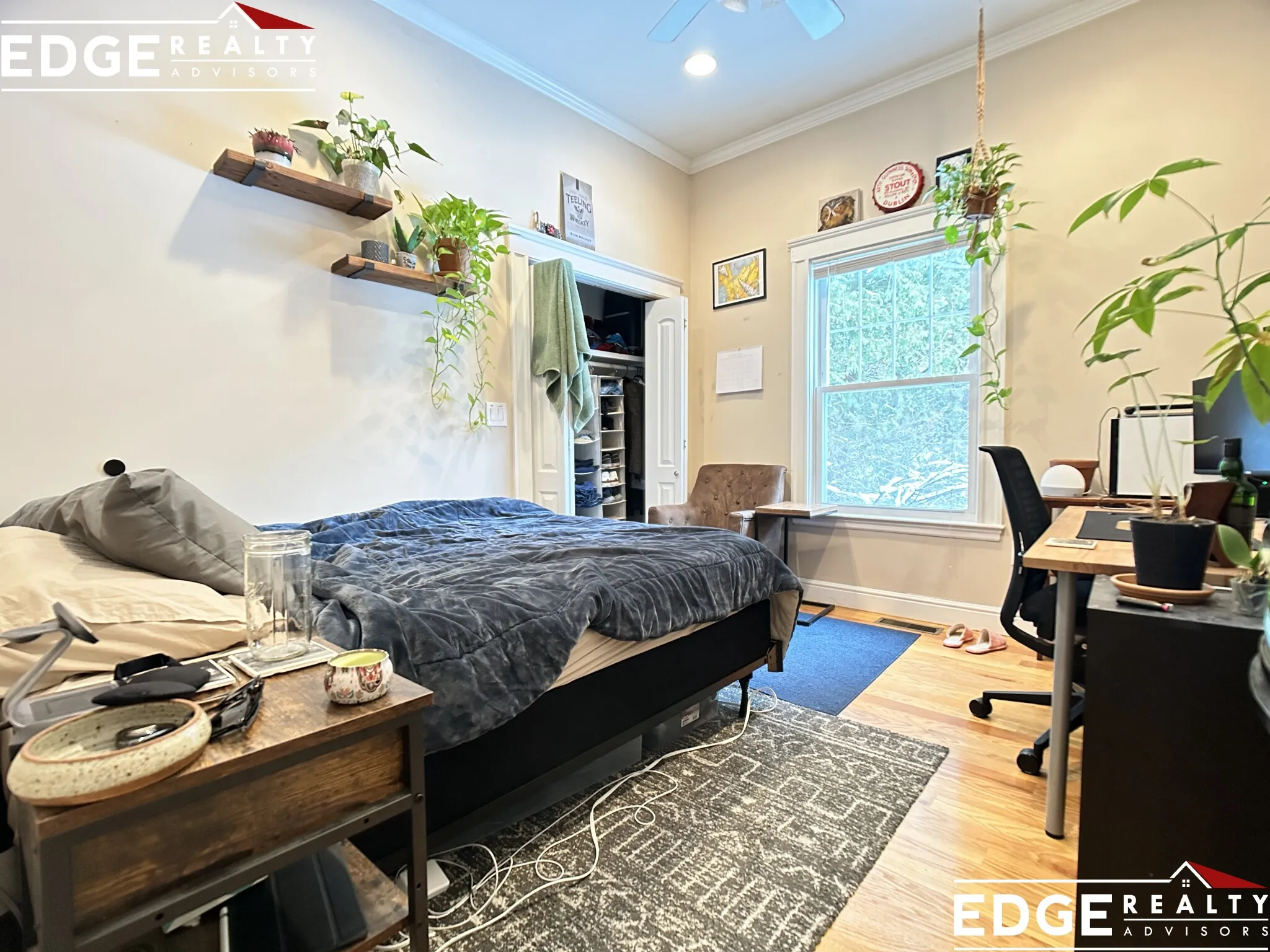 64 Corey Rd, Brighton