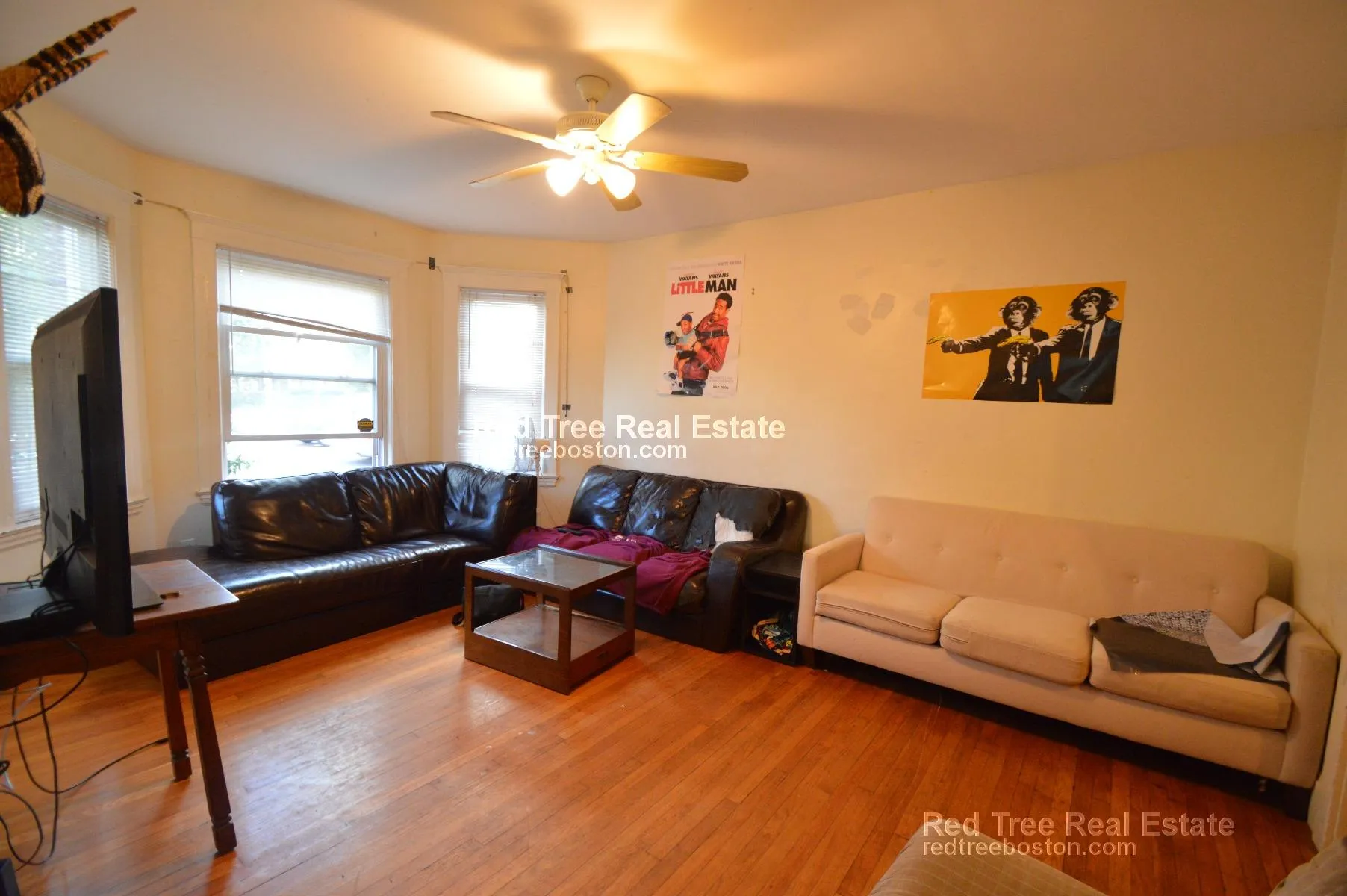 209 Chestnut Hill Ave, Brighton