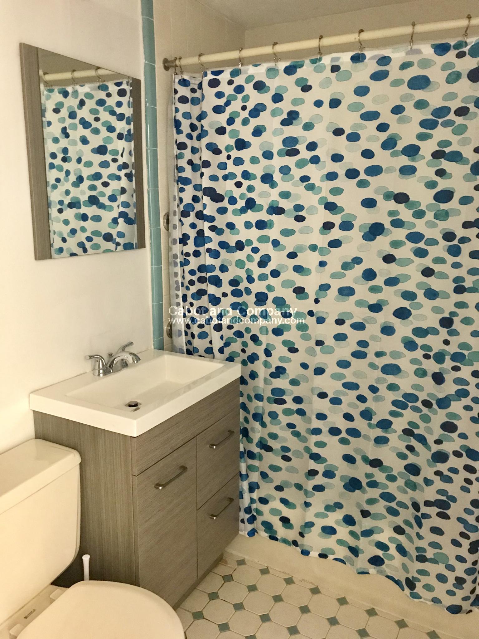 8 Follen St, Back Bay