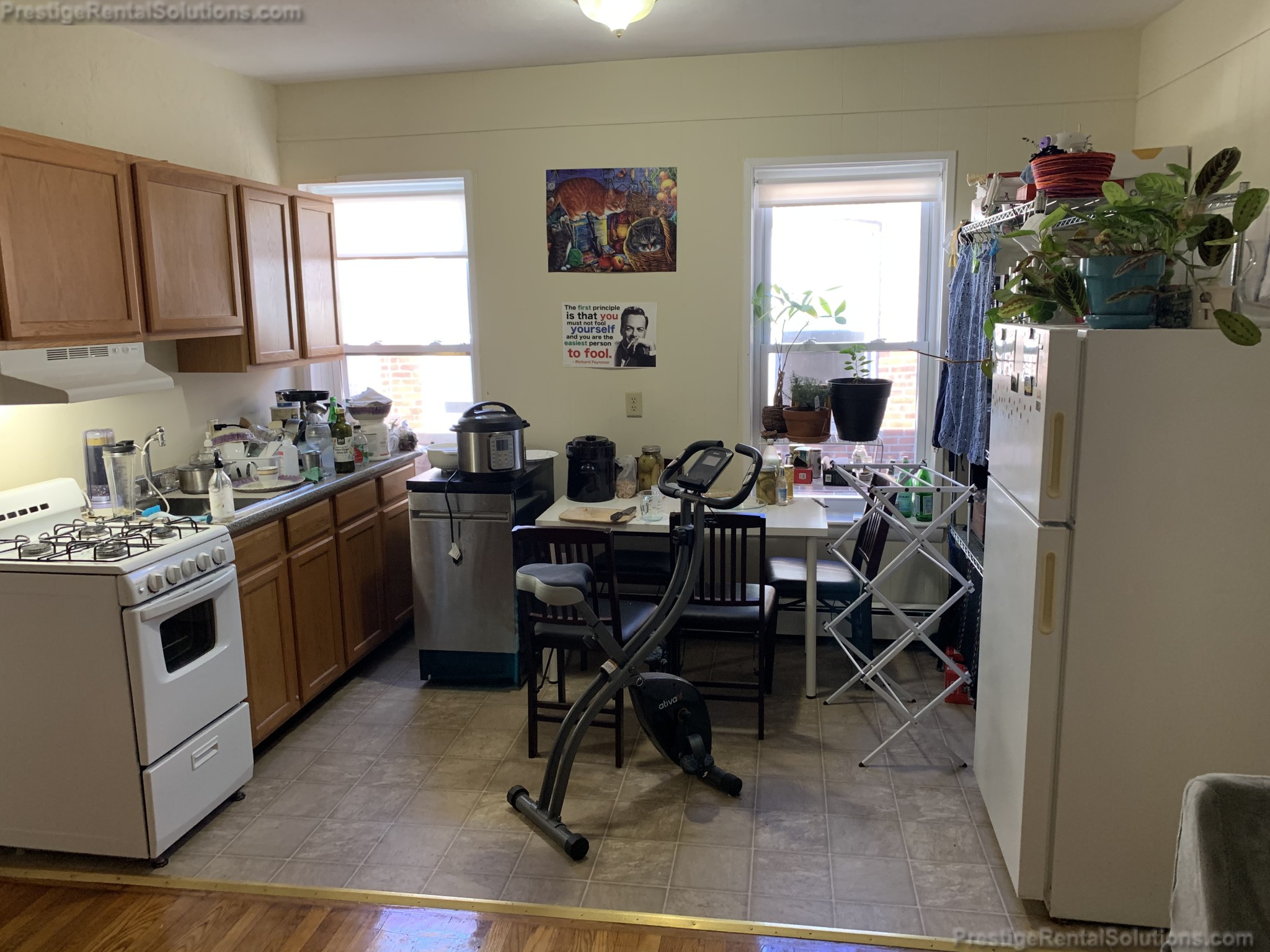 14 Hyde Park Ave, Jamaica Plain