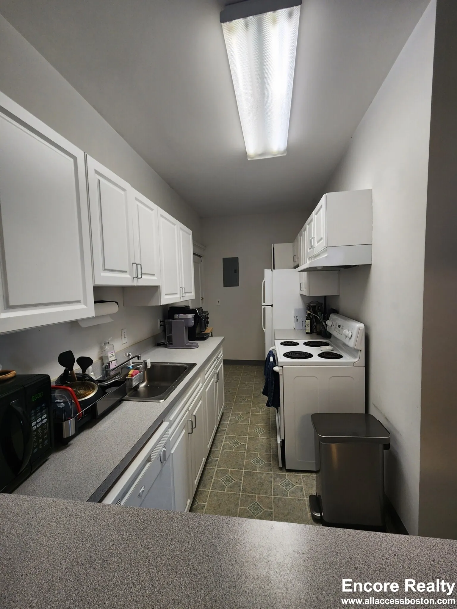 11 Stearns Rd, Coolidge Corner