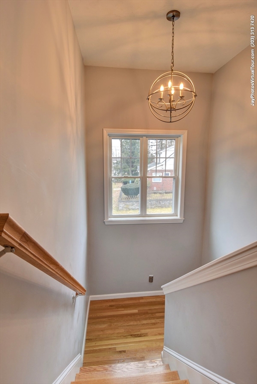 110 Apricot St, Webster Square