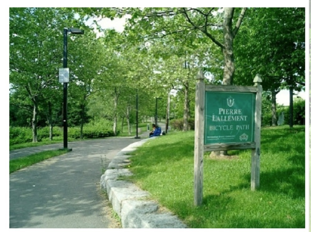 15 Aberdeen St, Fenway